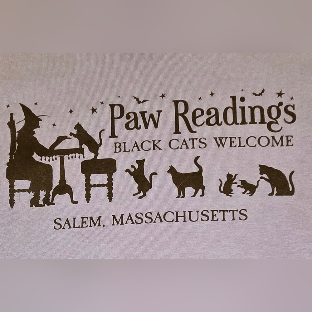 Salem MA Paw Readings Black Cat Witchy Graphic Tee Blue NWOT Small - Picture 3 of 4